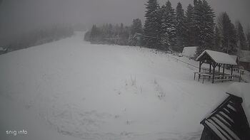 Звенів 12 січня 2025 року, 2025-01-12 16:00