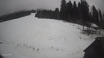 Звенів 24 січня 2025 року, 2025-01-24 13:00