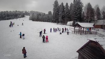 Звенів 31 січня 2026 року, 2026-01-31 13:00