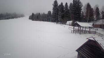 Zveniv 4 february 2026 year, 2026-02-04 10:00