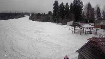 Zveniv 4 february 2026 year, 2026-02-04 13:00