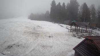 Zveniv 8 february 2026 year, 2026-02-08 10:00