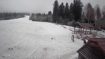 Zveniv 8 february 2026 year, 2026-02-08 13:00