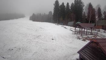 Zveniv 10 february 2026 year, 2026-02-10 16:00