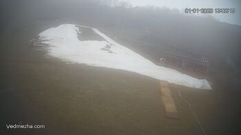 Ведмежа 1 січня 2023 року, 2023-01-01 13:00