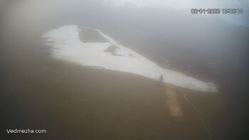 Ведмежа 2 січня 2023 року, 2023-01-02 13:00