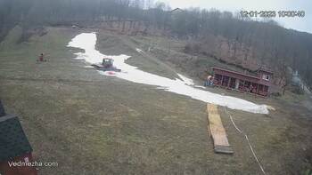 Ведмежа 12 січня 2023 року, 2023-01-12 10:00