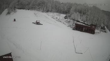 Ведмежа 1 лютого 2023 року, 2023-02-01 10:00