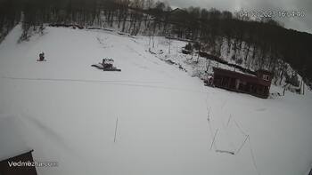 Ведмежа 4 лютого 2023 року, 2023-02-04 16:00