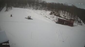 Ведмежа 5 лютого 2023 року, 2023-02-05 10:00