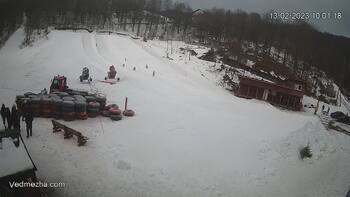 Ведмежа 13 лютого 2023 року, 2023-02-13 10:00