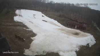 Ведмежа 5 березня 2023 року, 2023-03-05 10:00