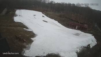 Ведмежа 5 березня 2023 року, 2023-03-05 16:00