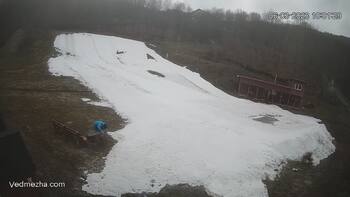 Ведмежа 6 березня 2023 року, 2023-03-06 10:00