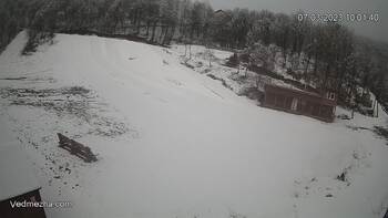Ведмежа 7 березня 2023 року, 2023-03-07 10:00
