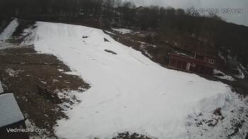 Ведмежа 7 березня 2023 року, 2023-03-07 13:00