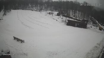 Ведмежа 8 грудня 2023 року, 2023-12-08 10:00