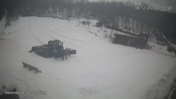 Ведмежа 8 грудня 2023 року, 2023-12-08 13:00