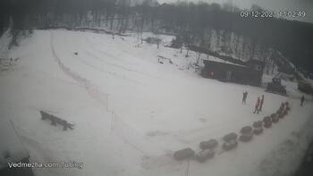 Ведмежа 9 грудня 2023 року, 2023-12-09 13:00