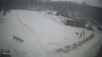 Ведмежа 9 грудня 2023 року, 2023-12-09 16:00