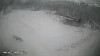 Ведмежа 11 грудня 2023 року, 2023-12-11 10:00
