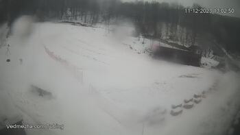 Ведмежа 11 грудня 2023 року, 2023-12-11 13:00