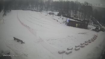 Ведмежа 11 грудня 2023 року, 2023-12-11 16:00