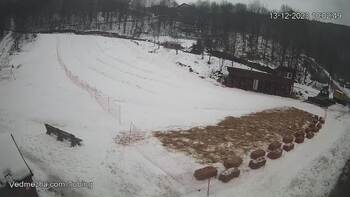 Ведмежа 13 грудня 2023 року, 2023-12-13 10:00