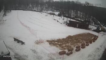Ведмежа 13 грудня 2023 року, 2023-12-13 13:00