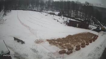 Ведмежа 13 грудня 2023 року, 2023-12-13 16:00
