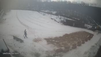 Ведмежа 15 грудня 2023 року, 2023-12-15 13:00