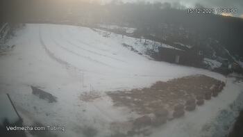 Ведмежа 15 грудня 2023 року, 2023-12-15 16:00