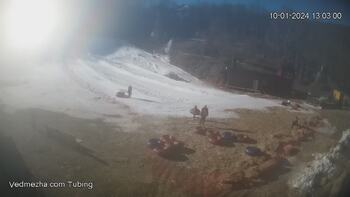Ведмежа 10 січня 2024 року, 2024-01-10 13:00