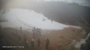 Ведмежа 11 січня 2024 року, 2024-01-11 13:00