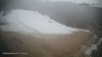 Ведмежа 11 січня 2024 року, 2024-01-11 16:00