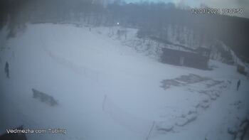 Ведмежа 12 січня 2024 року, 2024-01-12 10:00