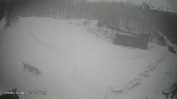 Ведмежа 13 січня 2024 року, 2024-01-13 10:00