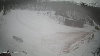 Ведмежа 14 січня 2024 року, 2024-01-14 10:00