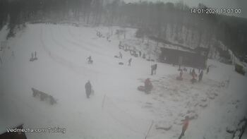 Ведмежа 14 січня 2024 року, 2024-01-14 13:00