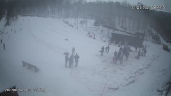 Ведмежа 14 січня 2024 року, 2024-01-14 16:00