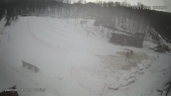 Ведмежа 15 січня 2024 року, 2024-01-15 10:00