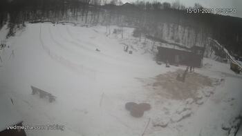 Ведмежа 15 січня 2024 року, 2024-01-15 13:00