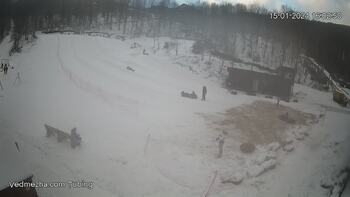 Ведмежа 15 січня 2024 року, 2024-01-15 16:00