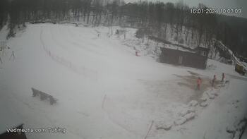 Ведмежа 16 січня 2024 року, 2024-01-16 10:00