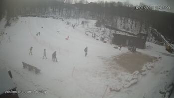 Ведмежа 16 січня 2024 року, 2024-01-16 13:00