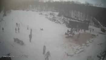 Ведмежа 17 січня 2024 року, 2024-01-17 13:00