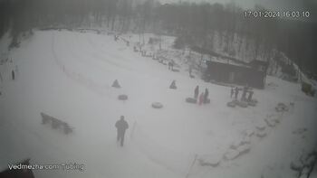 Ведмежа 17 січня 2024 року, 2024-01-17 16:00