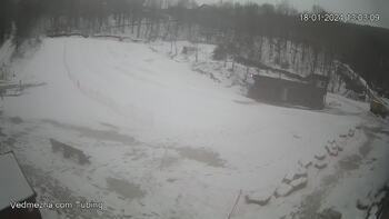 Ведмежа 18 січня 2024 року, 2024-01-18 13:00