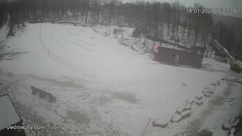 Ведмежа 18 січня 2024 року, 2024-01-18 16:00