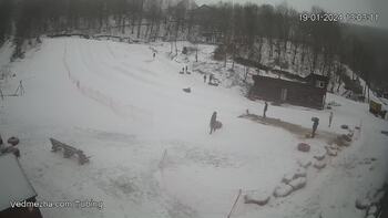 Ведмежа 19 січня 2024 року, 2024-01-19 13:00